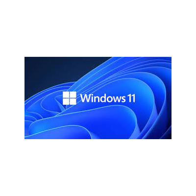 Microsoft Windows 11 Professional 32-bit/x64 PL Nowy